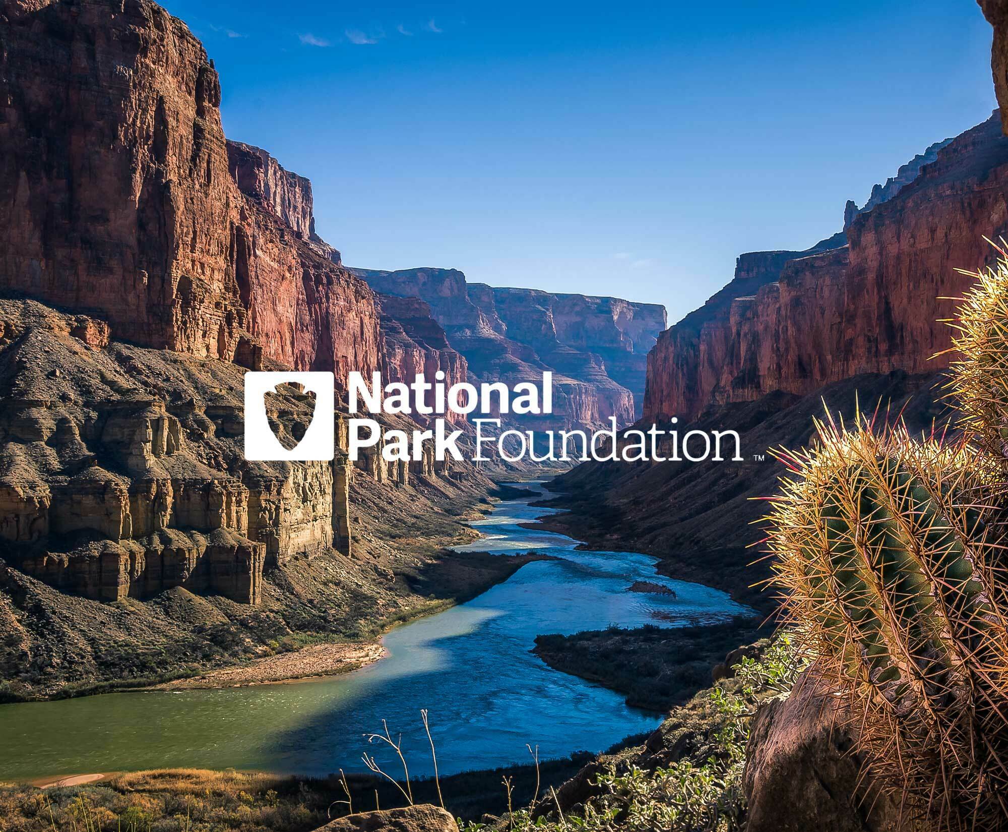 National Parks Foundation Logo with Grand Canyon Scenic Imagery